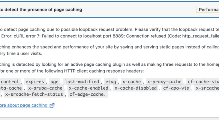 New cache Site Health checks in WordPress 6.1