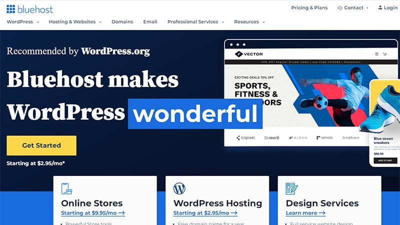 12 Best Web Hosting Providers for WordPress (2023) 131 bluehost-web-hosting-providers