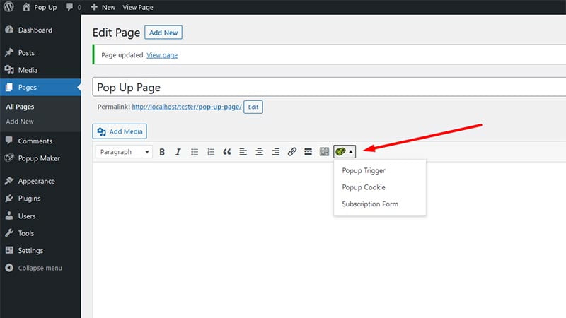How to create a pop-up form in WordPress? (2023) 99 pop-up-maker-shortcode
