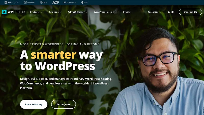 12 Best Web Hosting Providers for WordPress (2023) 138 wpengine-hosting-service