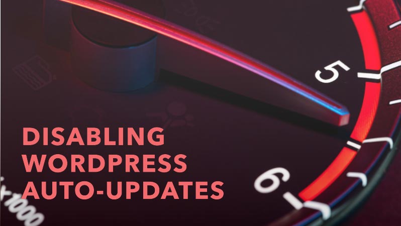 How to downgrade WordPress site version? 6 How-to-Disable-auto-updates-in-WordPress