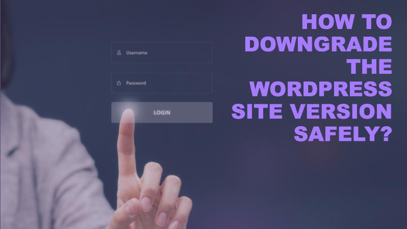 How to downgrade WordPress site version? 11 How-to-Downgrade-the-WordPress-site-version-safely