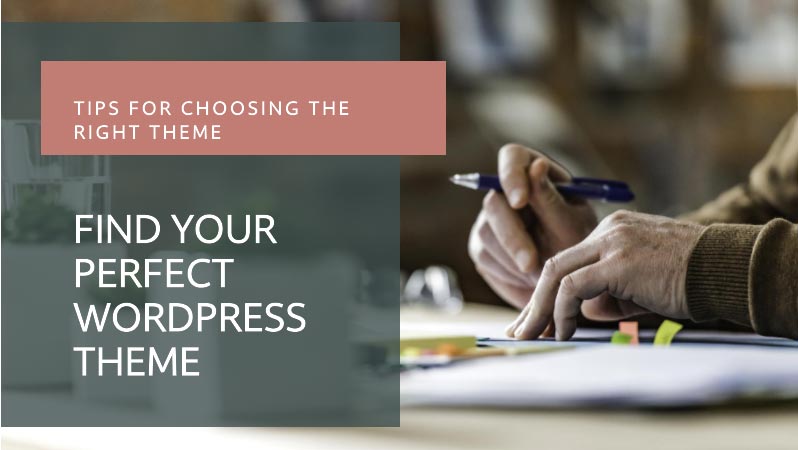 How to choose the perfect WordPress theme? (2024 edition) 8 How-to-choose-the-perfect-WordPress-theme