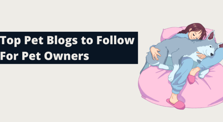 Top 5 Best Pet Blogs To Inspire You to Be a Better Pet Owner Top 5 Best Pet Blogs To Inspire You to Be a Better Pet Owner