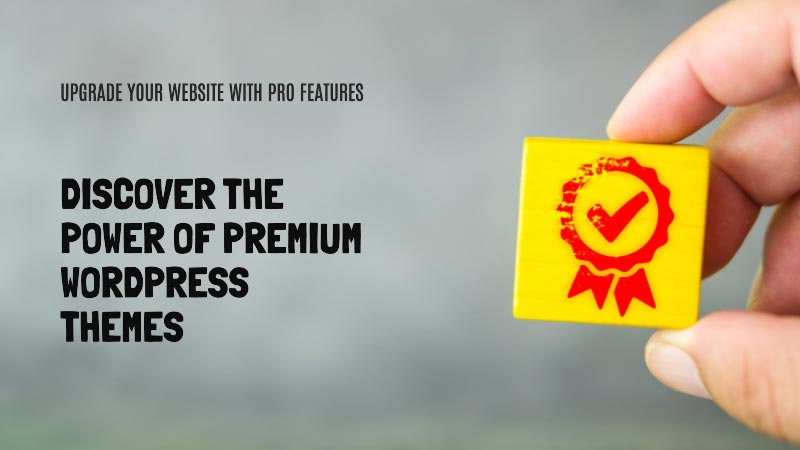 The Great WordPress Theme Debate: Free vs. Premium 8 What-are-Premium-or-PRO-WordPress-Themes