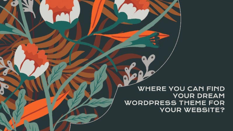 How to choose the perfect WordPress theme? (2024 edition) 9 Where-you-can-find-your-dream-WordPress-theme-for-your-website
