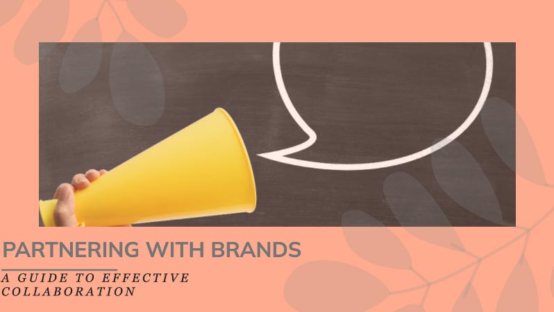 How to write Sponsored Posts for Brands using WordPress? 6 Partnering-with-Brands