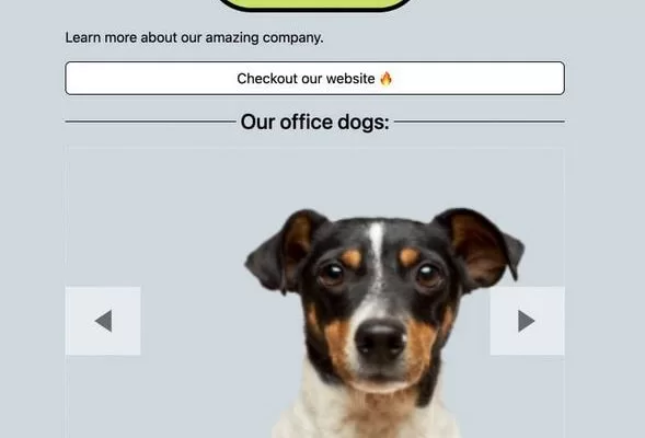 4 Must See Bio Link Builders for WordPress