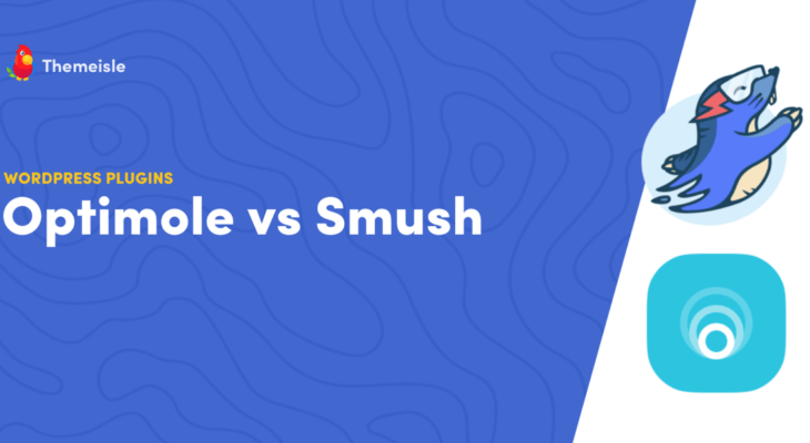 What is cPanel? Beginner’s Guide to Getting Started With It