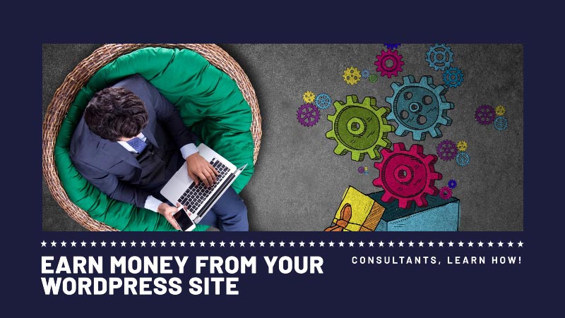 How to create a Consulting Website and Make Money? 22 how-consultants-Earn-Money-from-Your-WordPress-Site