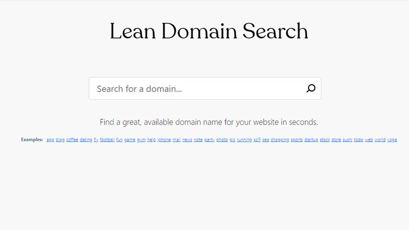 How to Use a Domain Name Generator to Find Your Perfect Website Name? 17 leandomainsearch