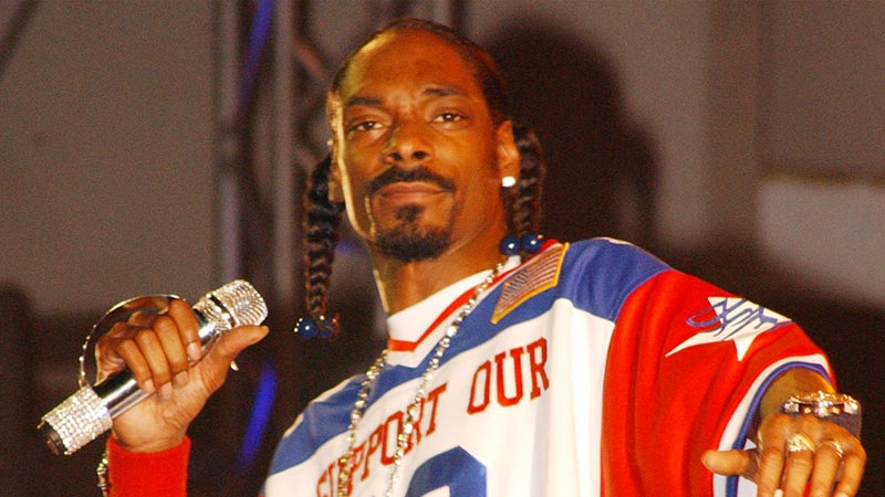 Top 20 Celebrities Embracing WordPress for Their Digital Presence 23 snoop-dog-celebrity-using-wordpress-website